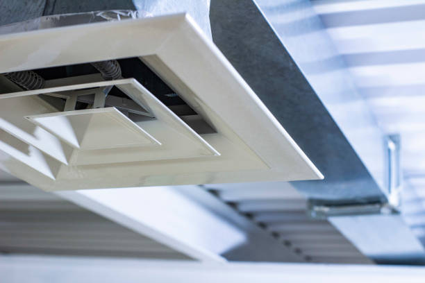 Air Duct Mold Removal in Bunkie, LA